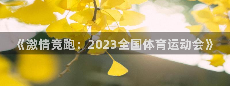JJB竞技宝官网下载开户:《激情竞跑:2023全国体育运动会